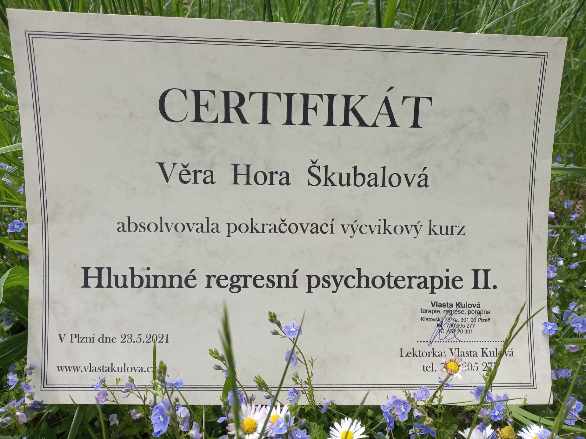 Regresní terapie Plzeň